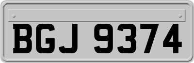 BGJ9374