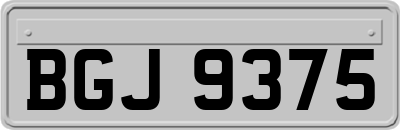 BGJ9375