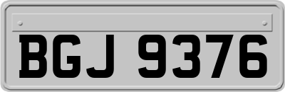 BGJ9376
