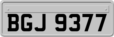 BGJ9377