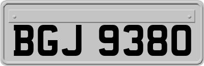 BGJ9380