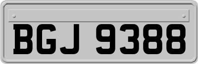 BGJ9388