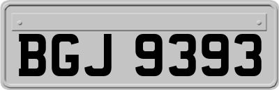 BGJ9393