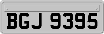 BGJ9395