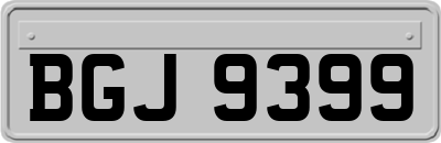 BGJ9399