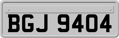 BGJ9404