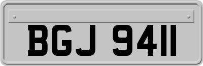 BGJ9411