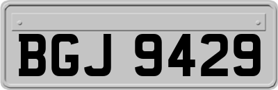 BGJ9429
