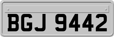BGJ9442