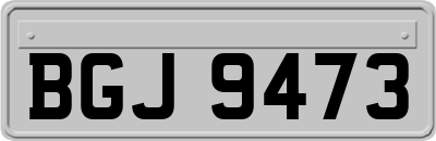 BGJ9473