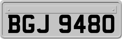 BGJ9480