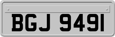 BGJ9491