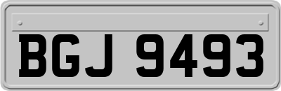 BGJ9493
