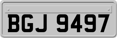 BGJ9497