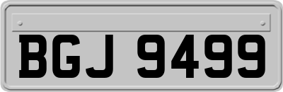 BGJ9499