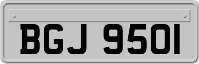 BGJ9501