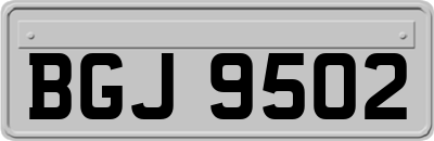 BGJ9502