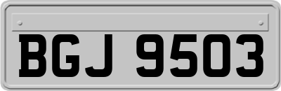BGJ9503