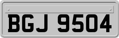 BGJ9504