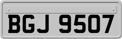 BGJ9507