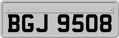 BGJ9508