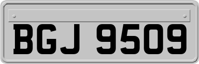 BGJ9509