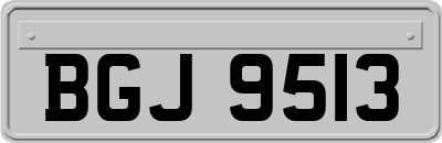 BGJ9513