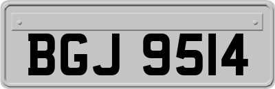 BGJ9514