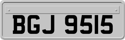 BGJ9515