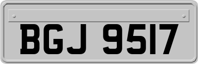 BGJ9517
