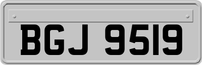 BGJ9519