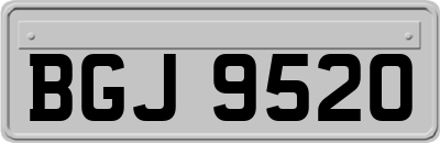 BGJ9520