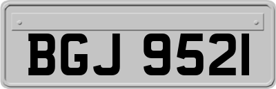BGJ9521