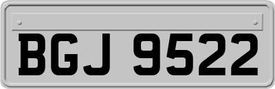 BGJ9522