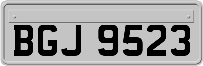BGJ9523