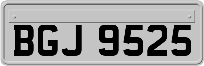 BGJ9525