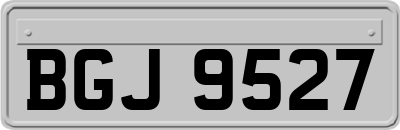 BGJ9527