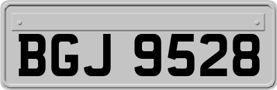 BGJ9528