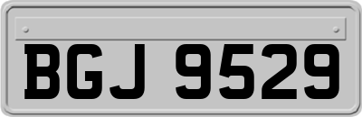 BGJ9529
