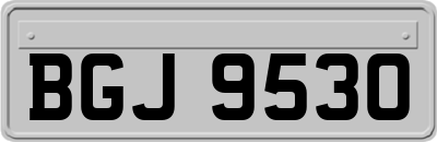 BGJ9530