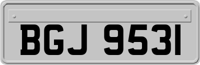 BGJ9531