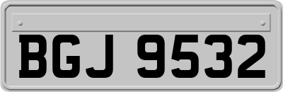 BGJ9532
