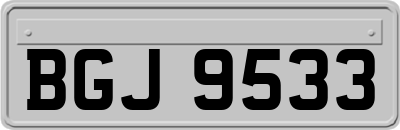 BGJ9533