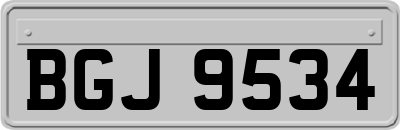 BGJ9534