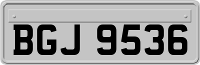 BGJ9536