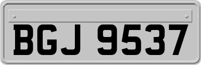 BGJ9537