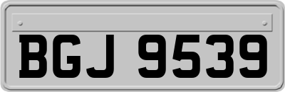BGJ9539