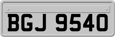 BGJ9540