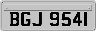 BGJ9541