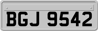 BGJ9542